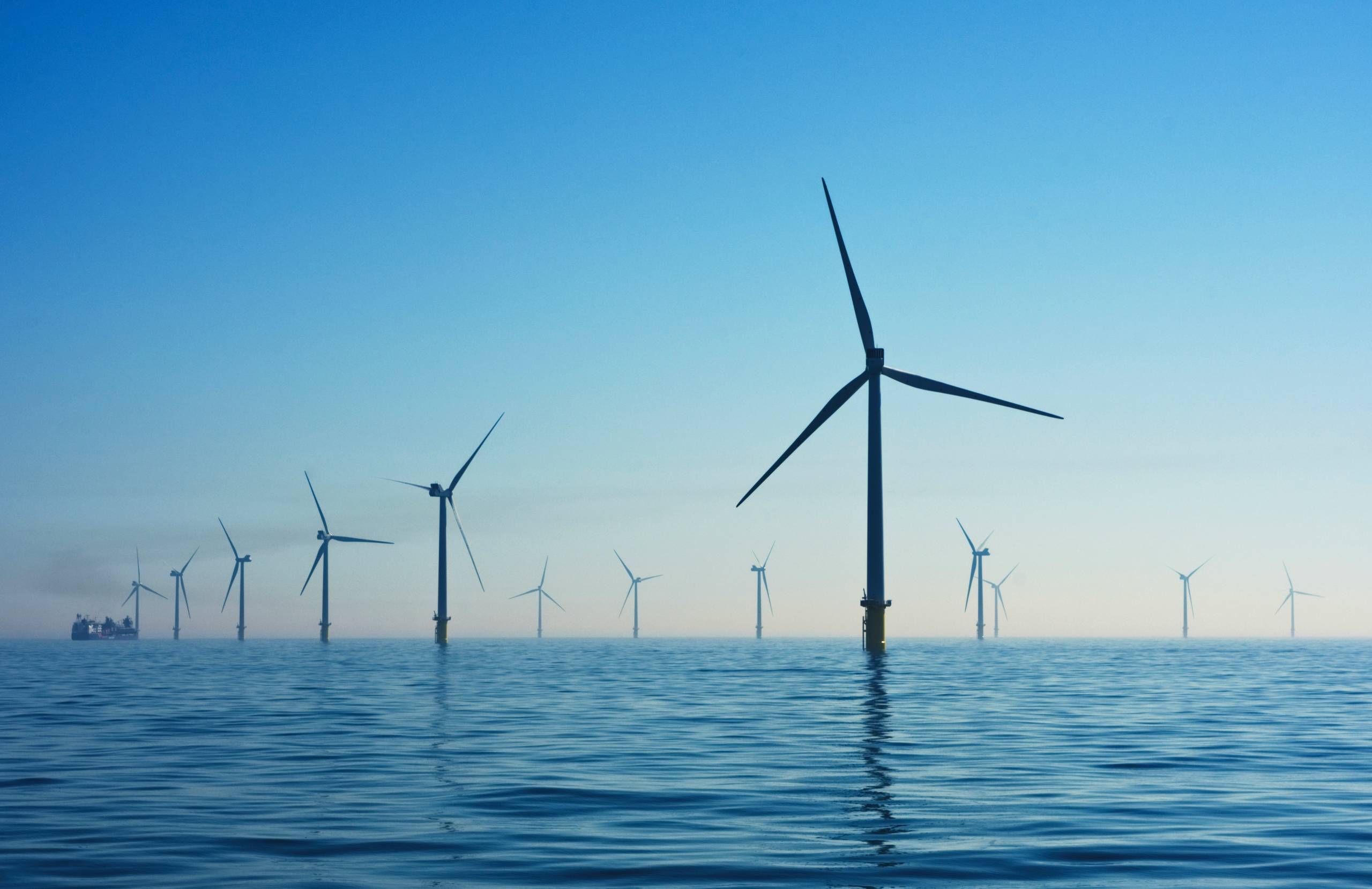 Green Opportunities